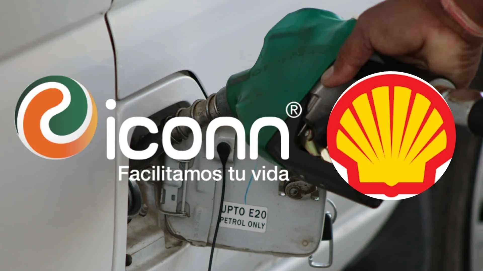 Iconn y Shell
