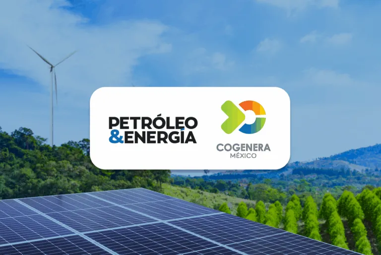 COGENERA- P&e