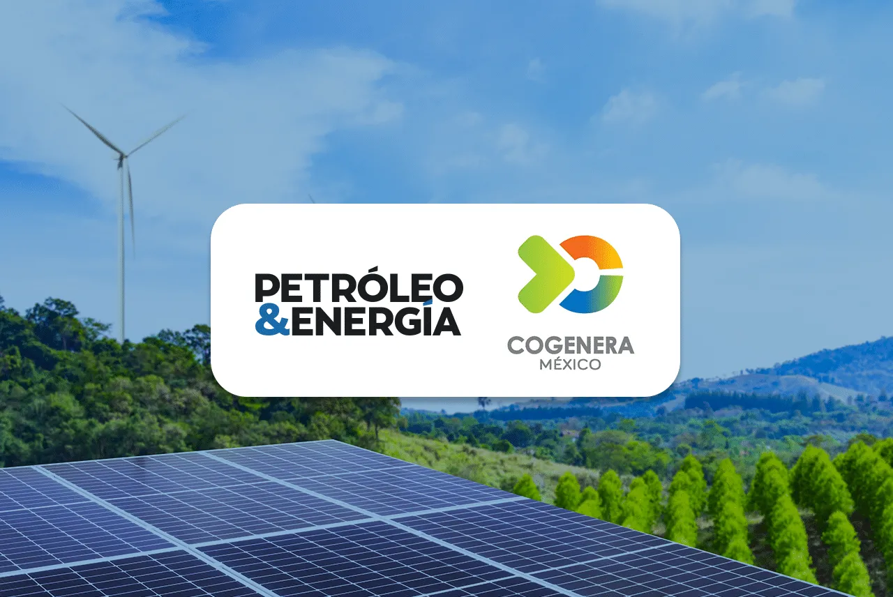 COGENERA- P&e