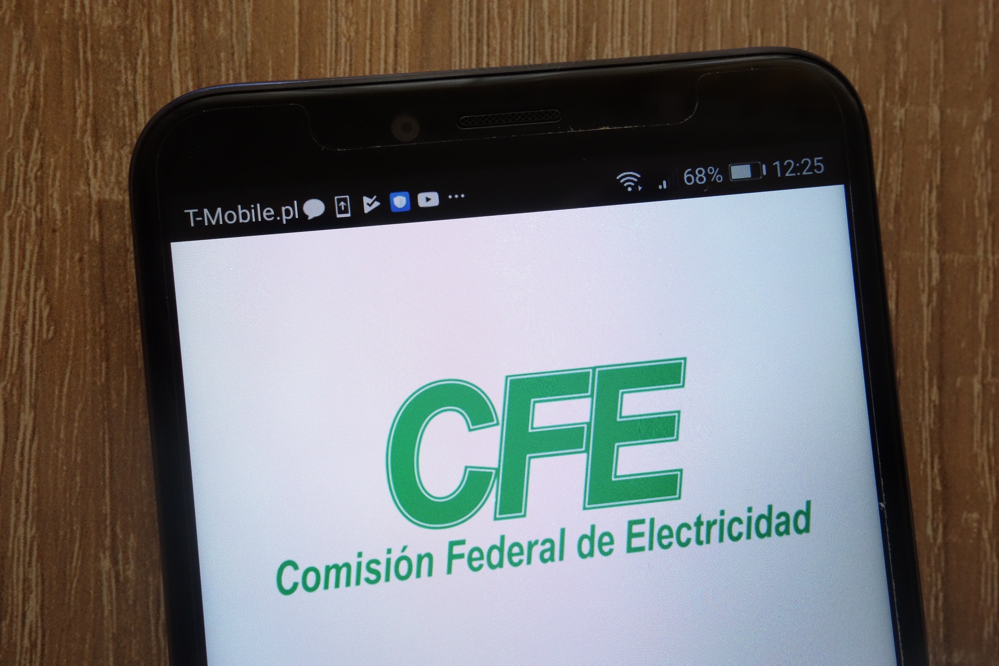 Comisión Federal de Electricidad (CFE). Depositphotos