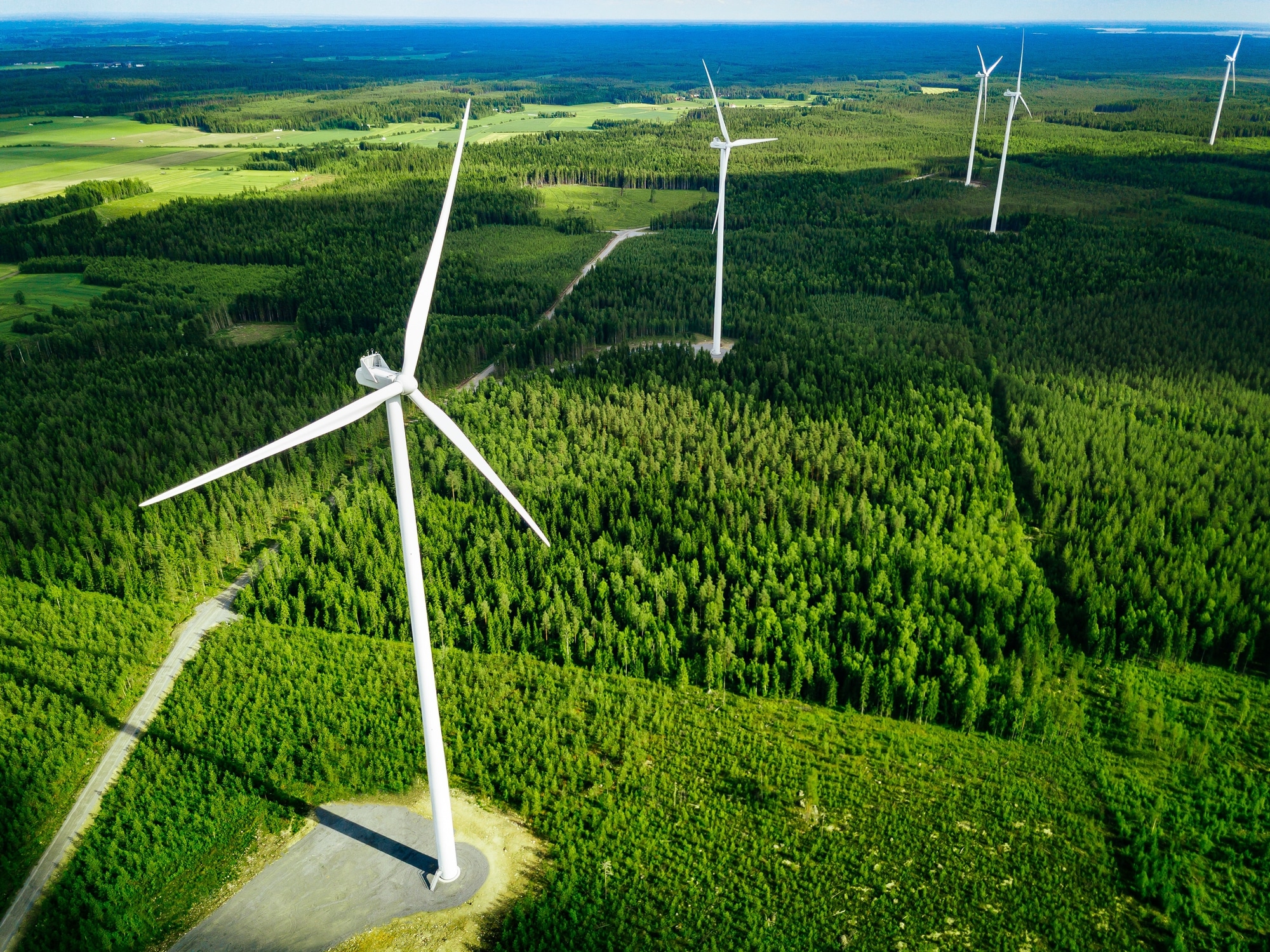 Vista aérea de molinos de viento en un bosque de verano en Finlandia. Aerogeneradores para generar energía eléctrica limpia y renovable.