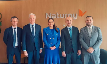 Naturgy México