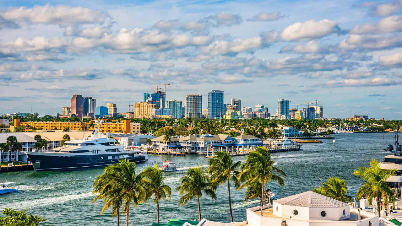 Miami View