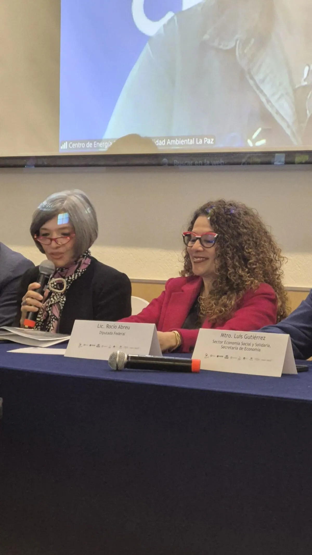 Diputada Abreu Artiñano Rocío Adriana