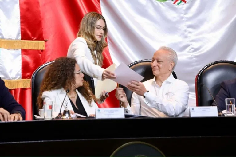 Cámara de diputados_ Víctor