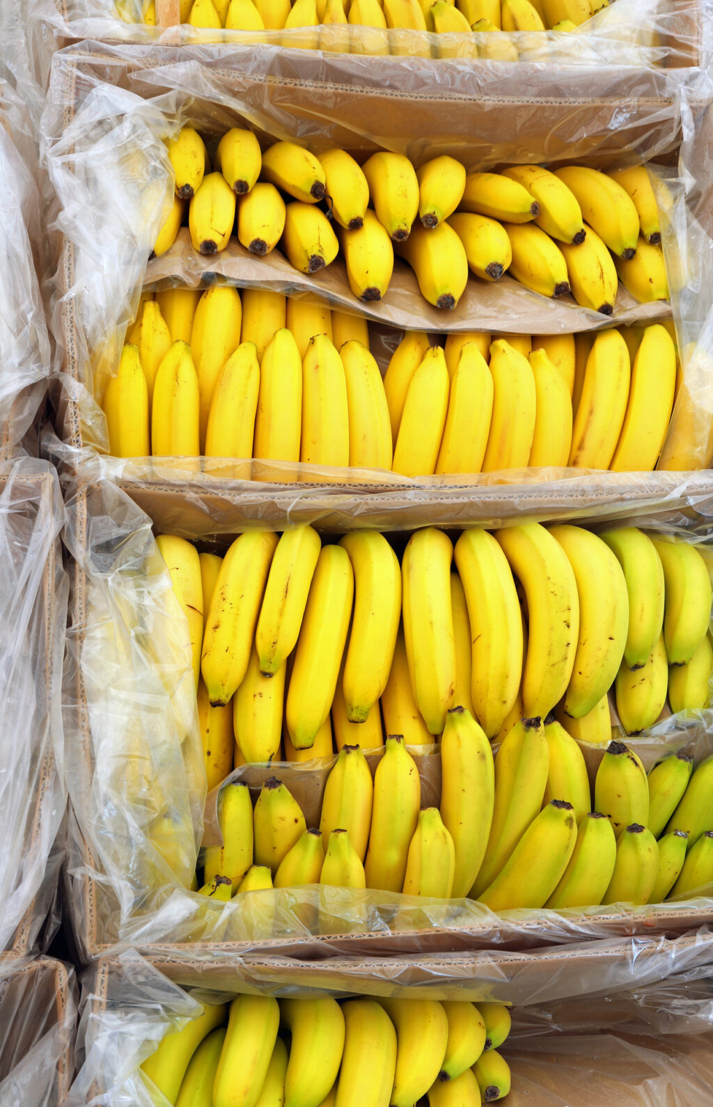 Many full boxes with ripe bananas, Depositphotos