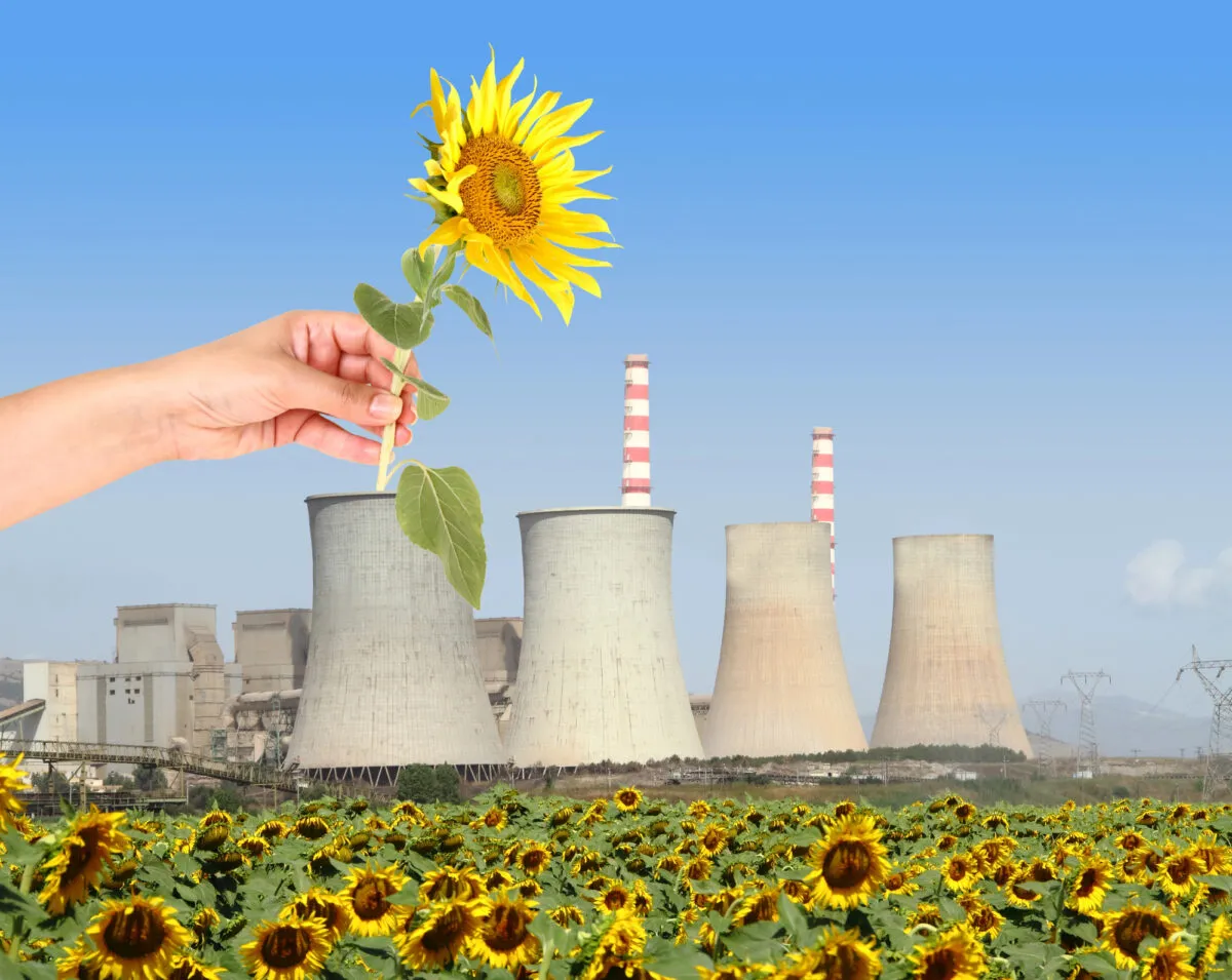 Planta de bioenergía que transforma residuos agrícolas, Depositphotos