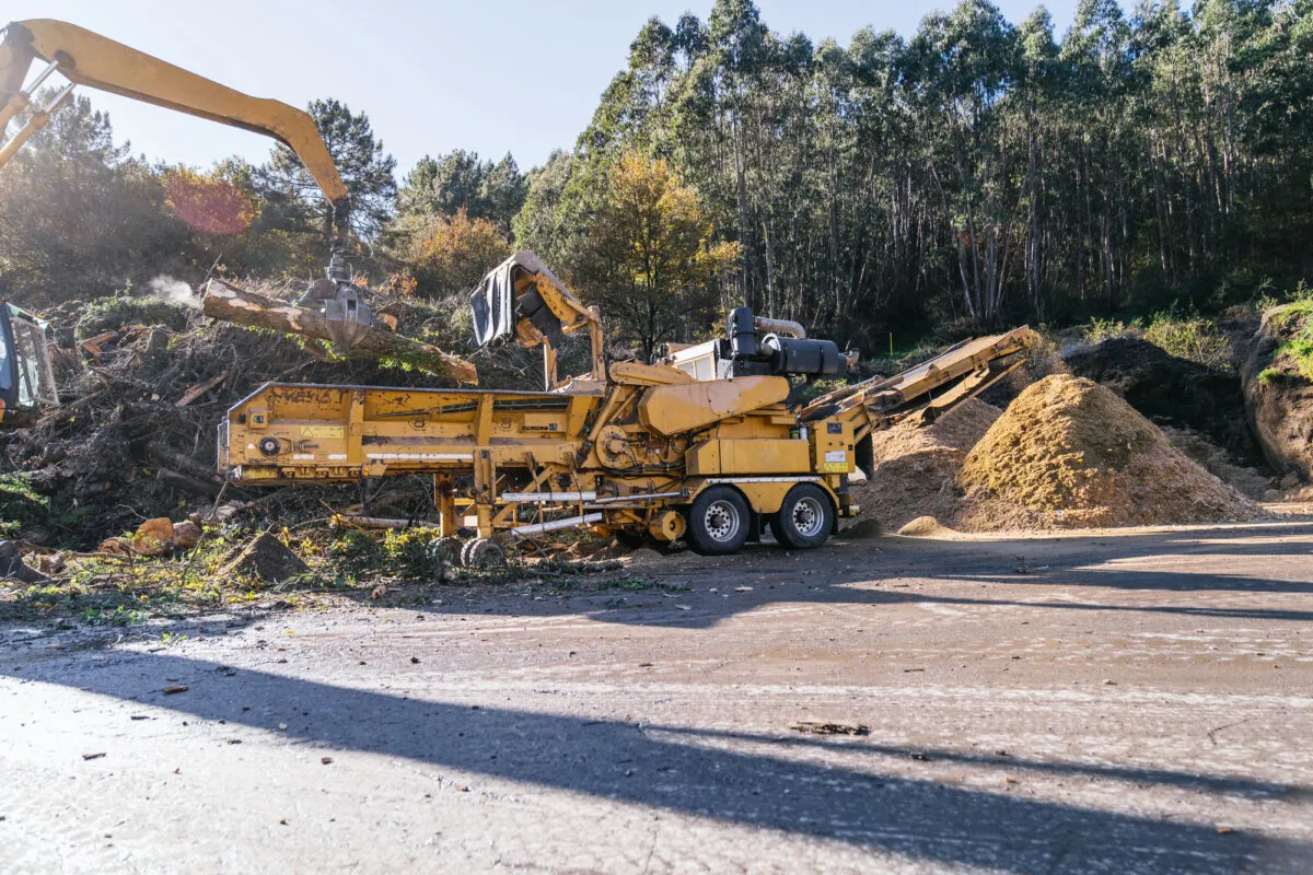 Pile of biofuel wood chips prepared for processing Depositphotos