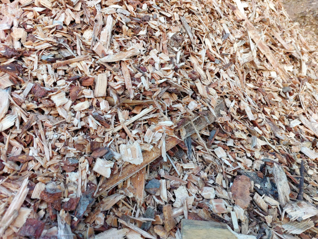 Pile of biofuel wood chips prepared for processing Depositphotos