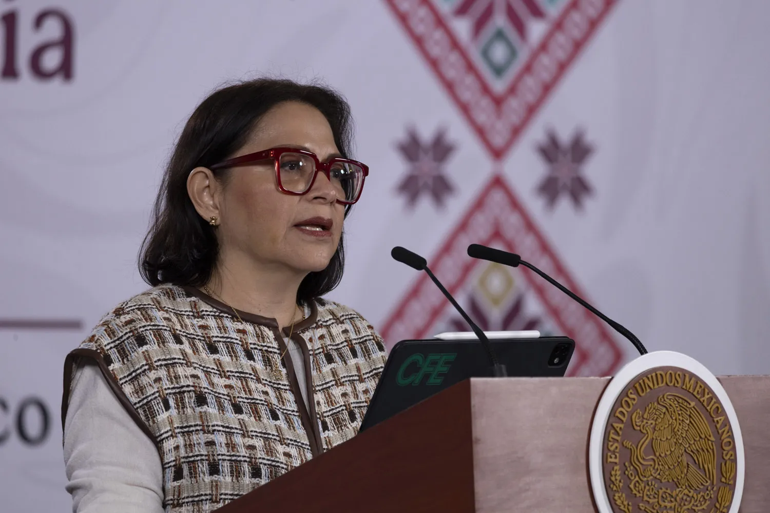 Conferencia de prensa - Emilia Calleja - CFE