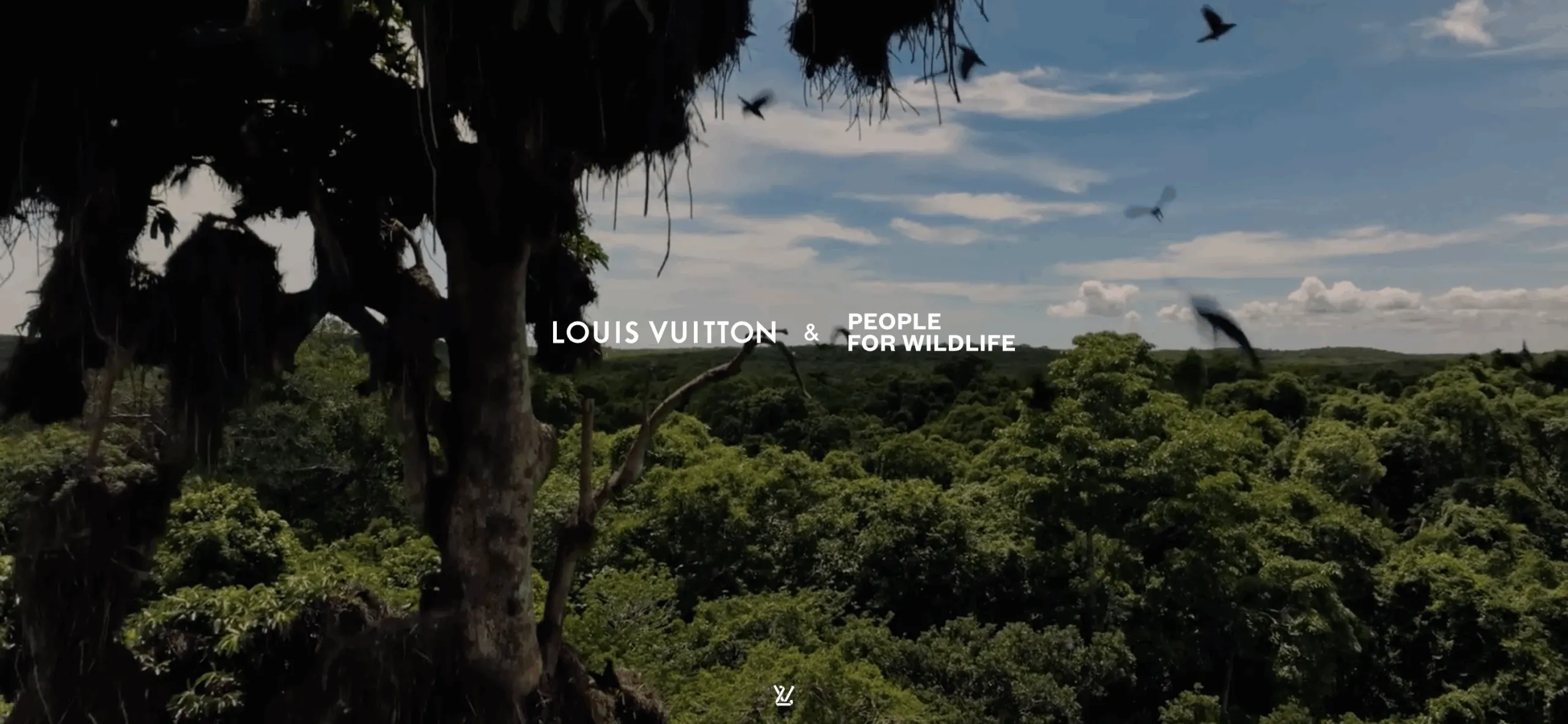 People for Wildlife Louis Vuitton. Foto del sitio