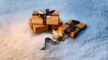 Guide 2025 de Louis Vuitton