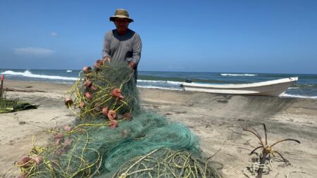 «Fue un barco privado», aclaran derrame de Veracruz