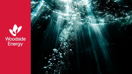 Este proyecto representa una colaboración clave entre Woodside