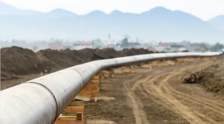El gobierno mexicano, en términos regulatorios, no puede intervenir en la formación del precio del HSC.