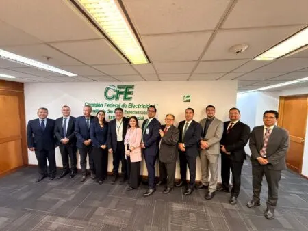Group of 12 professionals in formal attire posing for a photo in front of a CFE sign (Comisión Federal de Electricidad) in an office hallway.