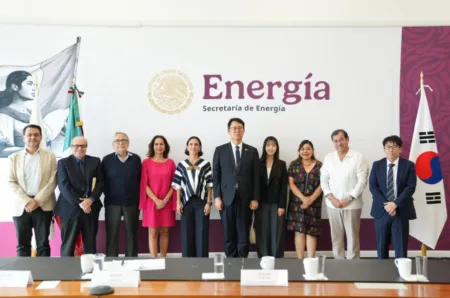 Group of ten professionals posing for a photo in front of a banner reading Energía, Secretaría de Energía with flags nearby.