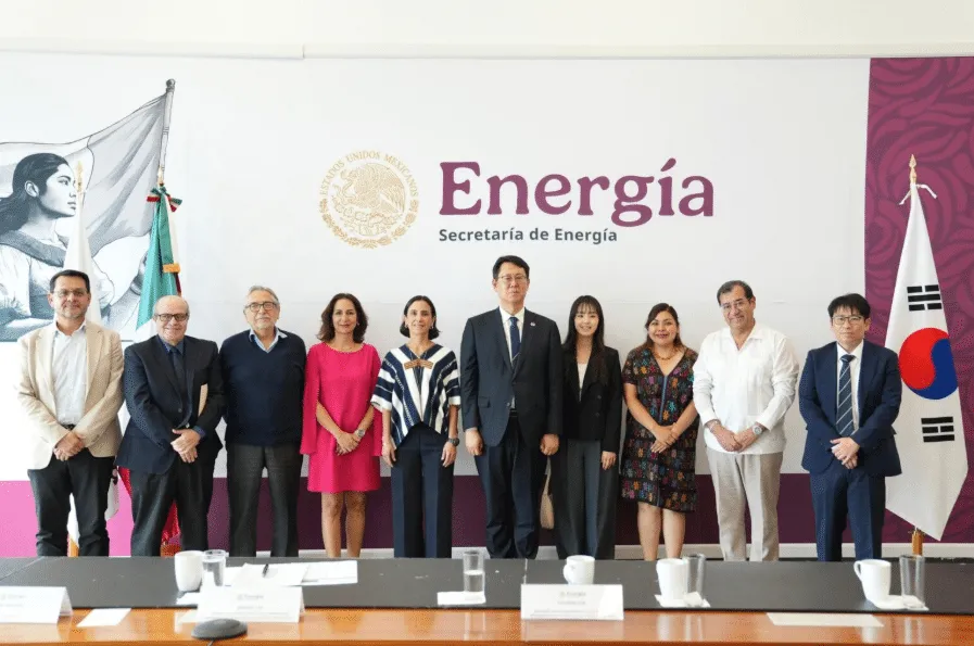 Group of ten professionals posing for a photo in front of a banner reading Energía, Secretaría de Energía with flags nearby.