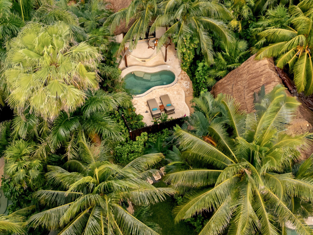 Copy of VRM73 - Petróleo y Energía Aerial view of a tropical courtyard with a curved pool, hammock, and two lounge chairs amid dense palm trees.