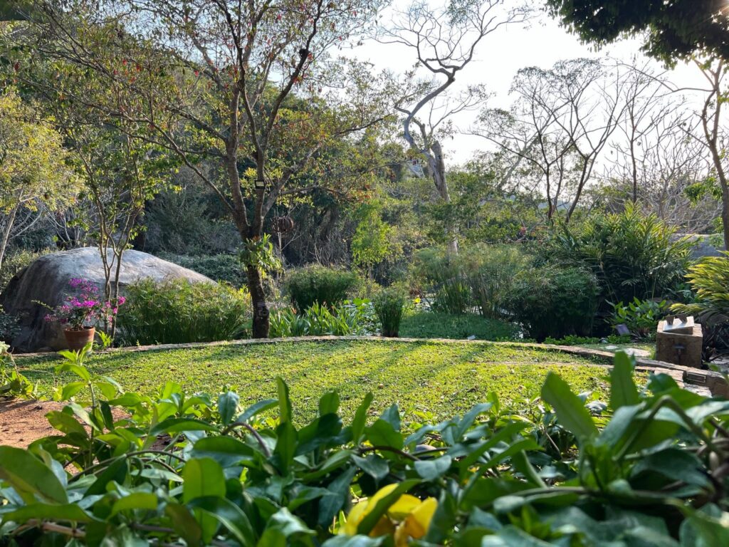 Jardín Botánico de Acapulco Esther Pliego de Salinas 7 - Petróleo y Energía Lush garden with green groundcover, potted pink flowers, and trees, some with red berries, under bright daylight.