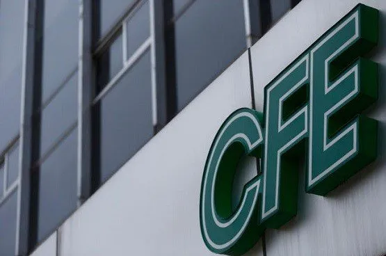 Close-up of a green 3D CFE sign mounted on a white wall beside a glass-fronted building