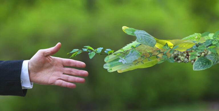 Outstretched hand in a suit reaching toward a leafy green branch, symbolizing environmental partnership.