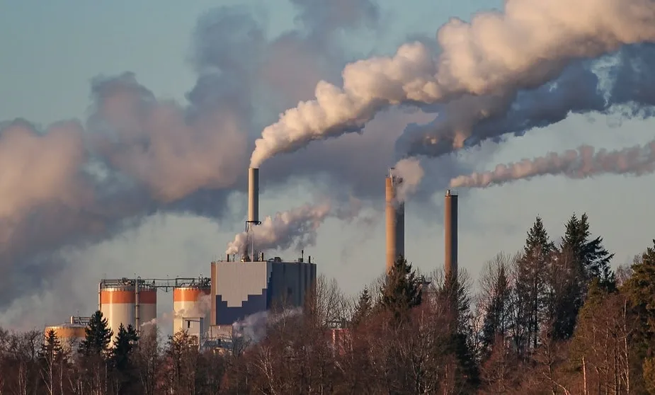 Industrial power plant with tall smokestacks releasing white smoke, surrounded by trees in the foreground to the left.