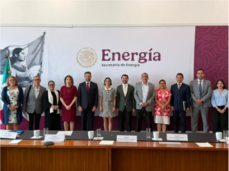 Group of officials in formal attire posing for a photo in front of an Energia banner with the Mexican seal and flag on the left.