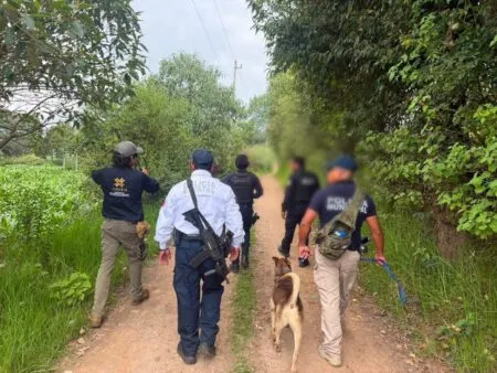 Police and security officers walk down a rural dirt road with a tracking dog on a leash, surrounded by green trees and bushes on both sides, during patrols on a sunny day at a rural path.