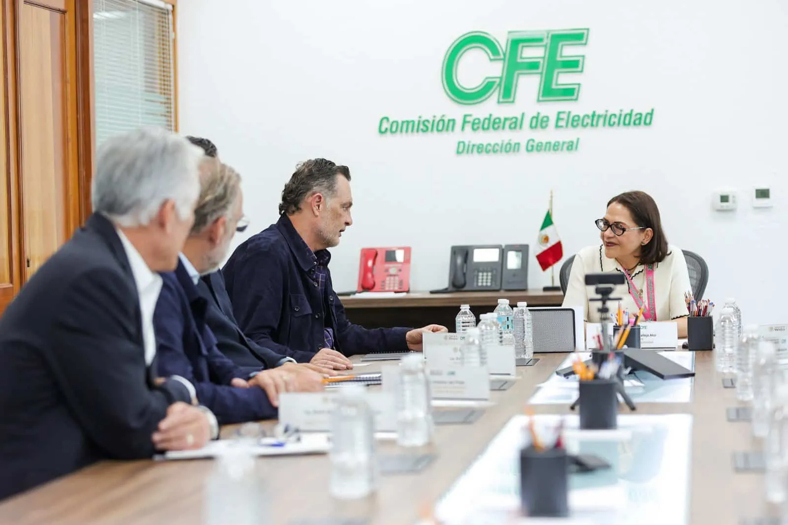 Panel meeting at a CFE conference room with attendees seated around a long table and a woman speaking to the group.