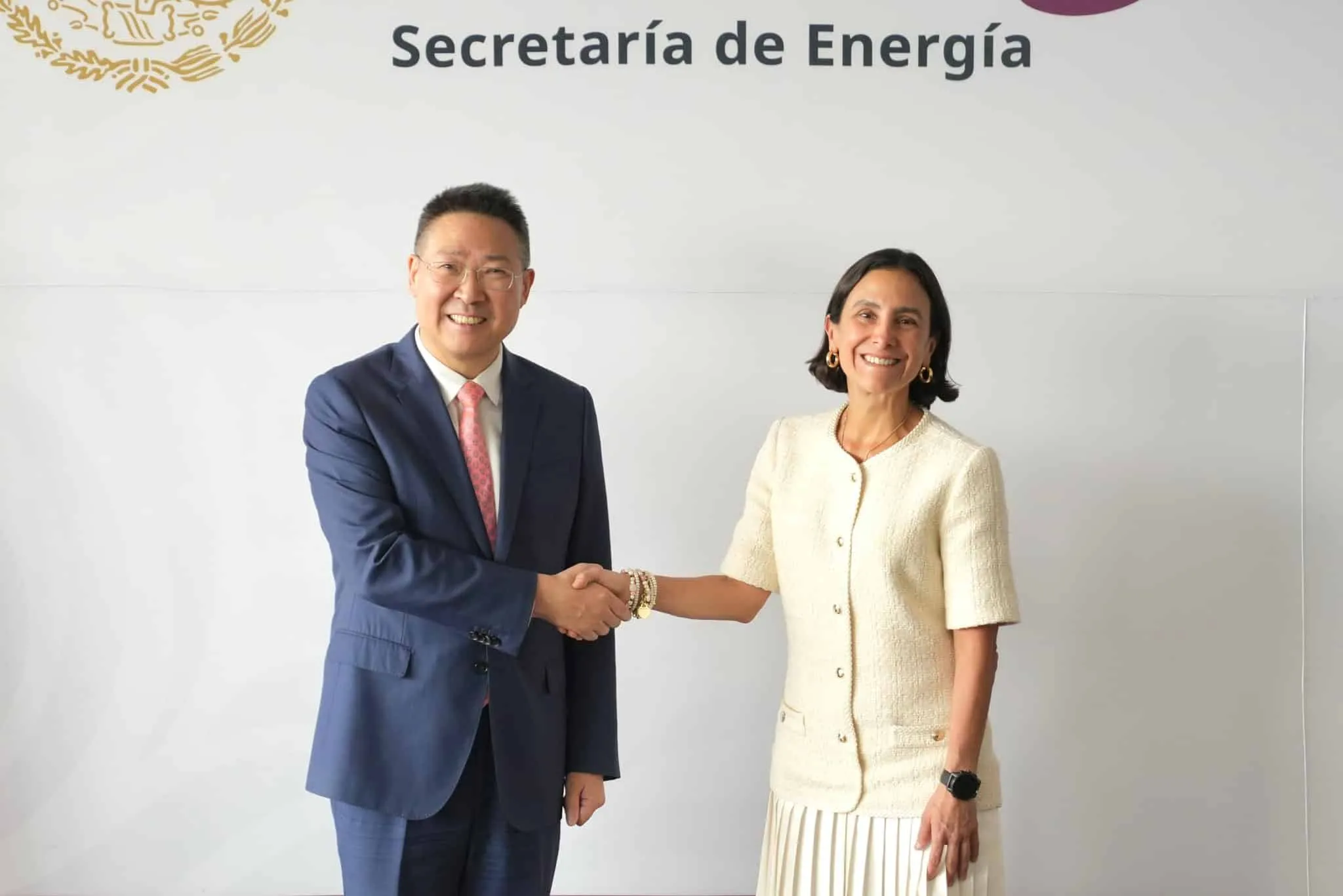 Two professionals shake hands in front of a backdrop that says Secretaría de Energía, signaling a formal agreement or meeting.
