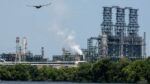Industrial oil refinery with complex piping and tall structures along the water, with a bird flying overhead and trees in the foreground