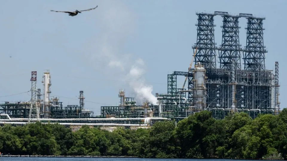 Industrial oil refinery with complex piping and tall structures along the water, with a bird flying overhead and trees in the foreground