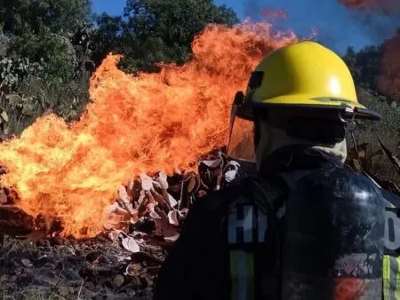 Firefighter in a yellow helmet and breathing apparatus watches a large orange flame erupting from a dry brush pile.