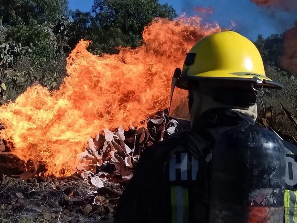 Firefighter in a yellow helmet and breathing apparatus watches a large orange flame erupting from a dry brush pile.