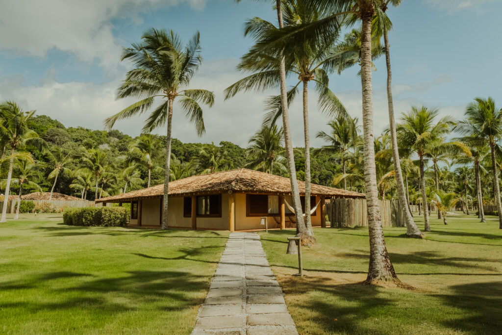 - Petróleo y Energía Two palm trees frame a single-story house with a tiled roof in a tropical garden and a stone path leading to it