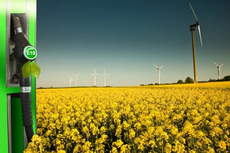Green E10 fuel pump nozzle on the left beside a field of yellow canola with wind turbines in the distance under a clear sky.