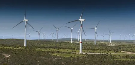 Wind turbines spread across a dry, scrubby landscape under a clear blue sky on a windy day at a wind farm.