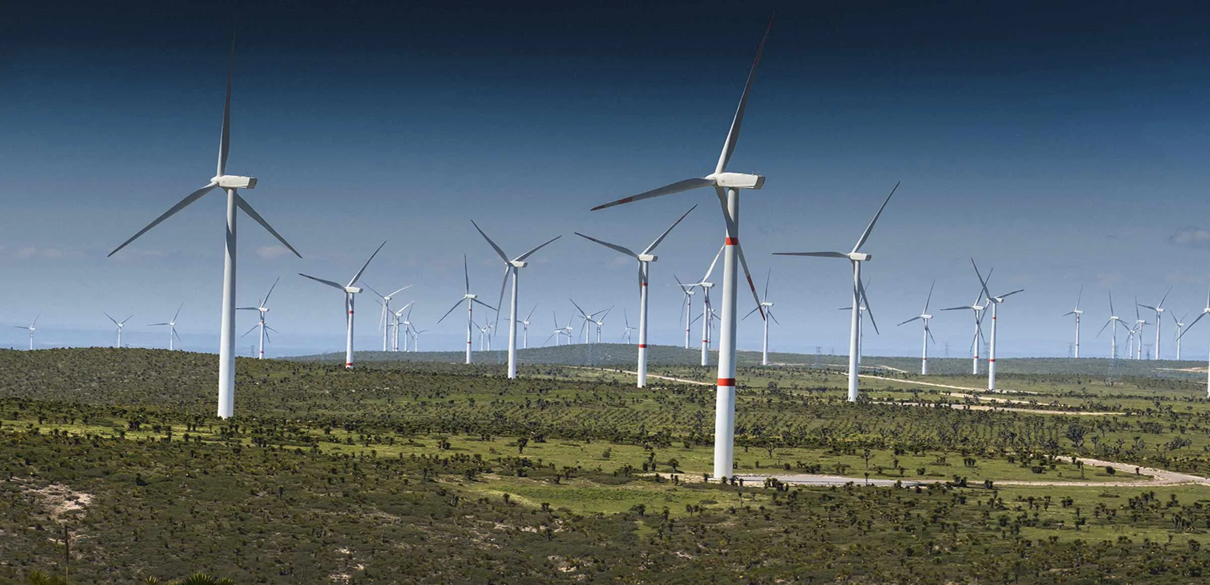Wind turbines spread across a dry, scrubby landscape under a clear blue sky on a windy day at a wind farm.