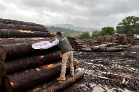 Resultados de inspecciones ambientales en México