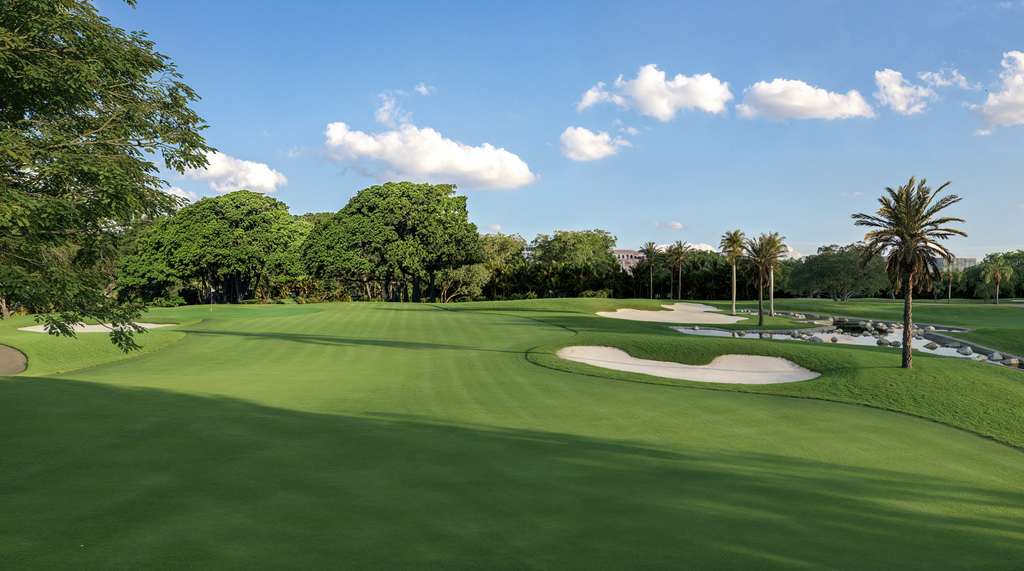 Captura de pantalla 2026-09-03 a las 34036 pm - Petróleo y Energía Golf course with lush green fairways, sand bunkers, and palm trees under a blue sky.