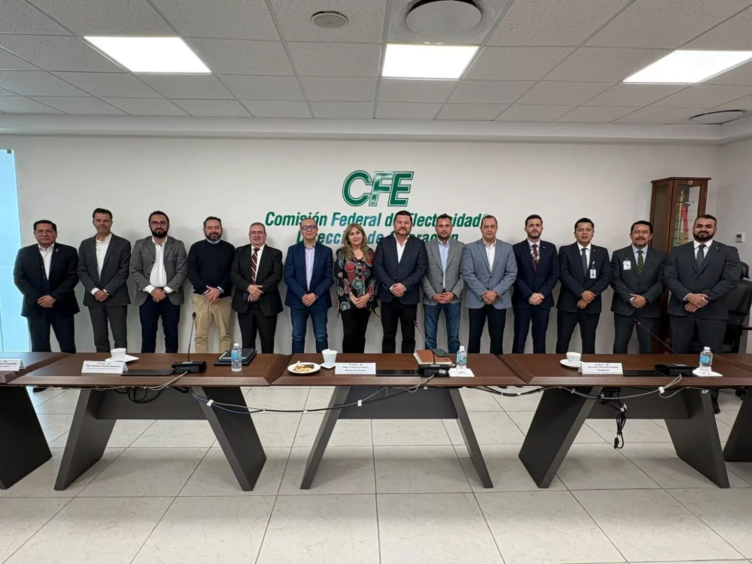 Group of professionals in suits lined up in a conference room, posing in front of a wall with the CFE logo (Comisif3n Federal de Electricidad).
