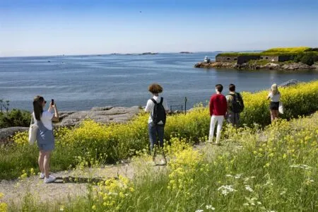 Group of five people standing along a seaside path, taking photos amid yellow wildflowers with blue water in the background.