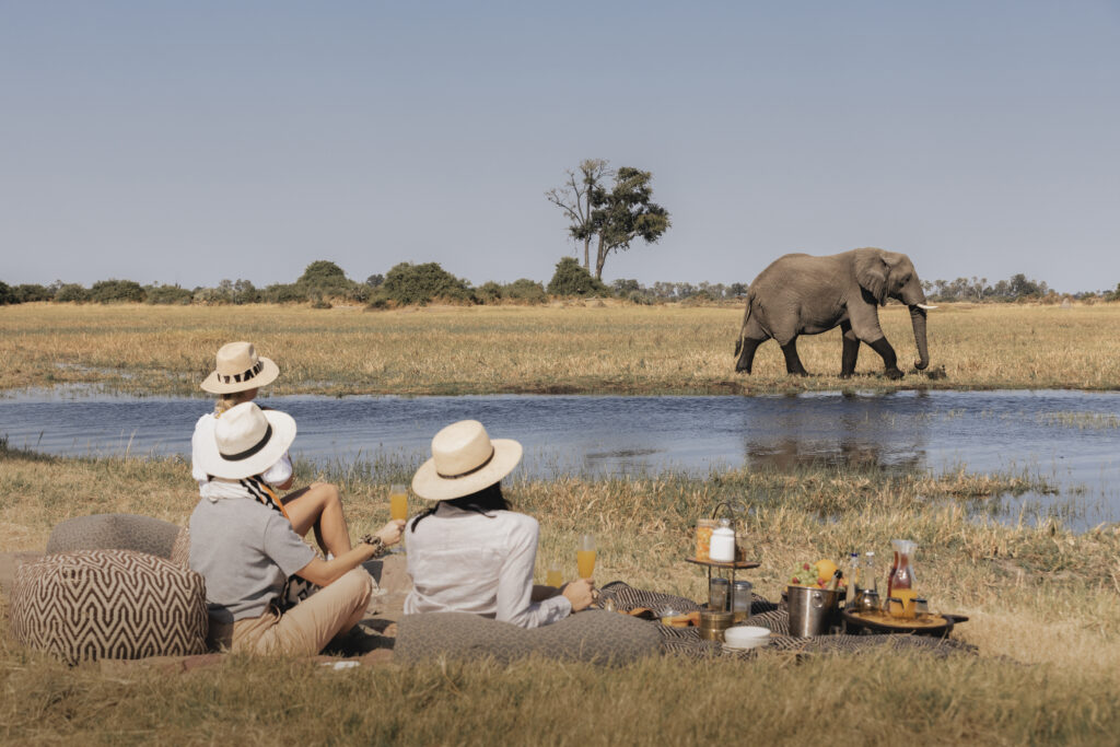 10__Mombo_BushPicnic_001 - Petróleo y Energía Group of safari-goers in hats enjoying a riverside picnic as a large elephant walks in the distance across the savannah.