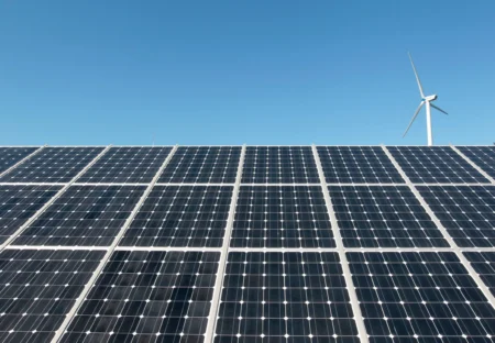 Row of solar panels under a clear blue sky with a distant wind turbine on the horizon