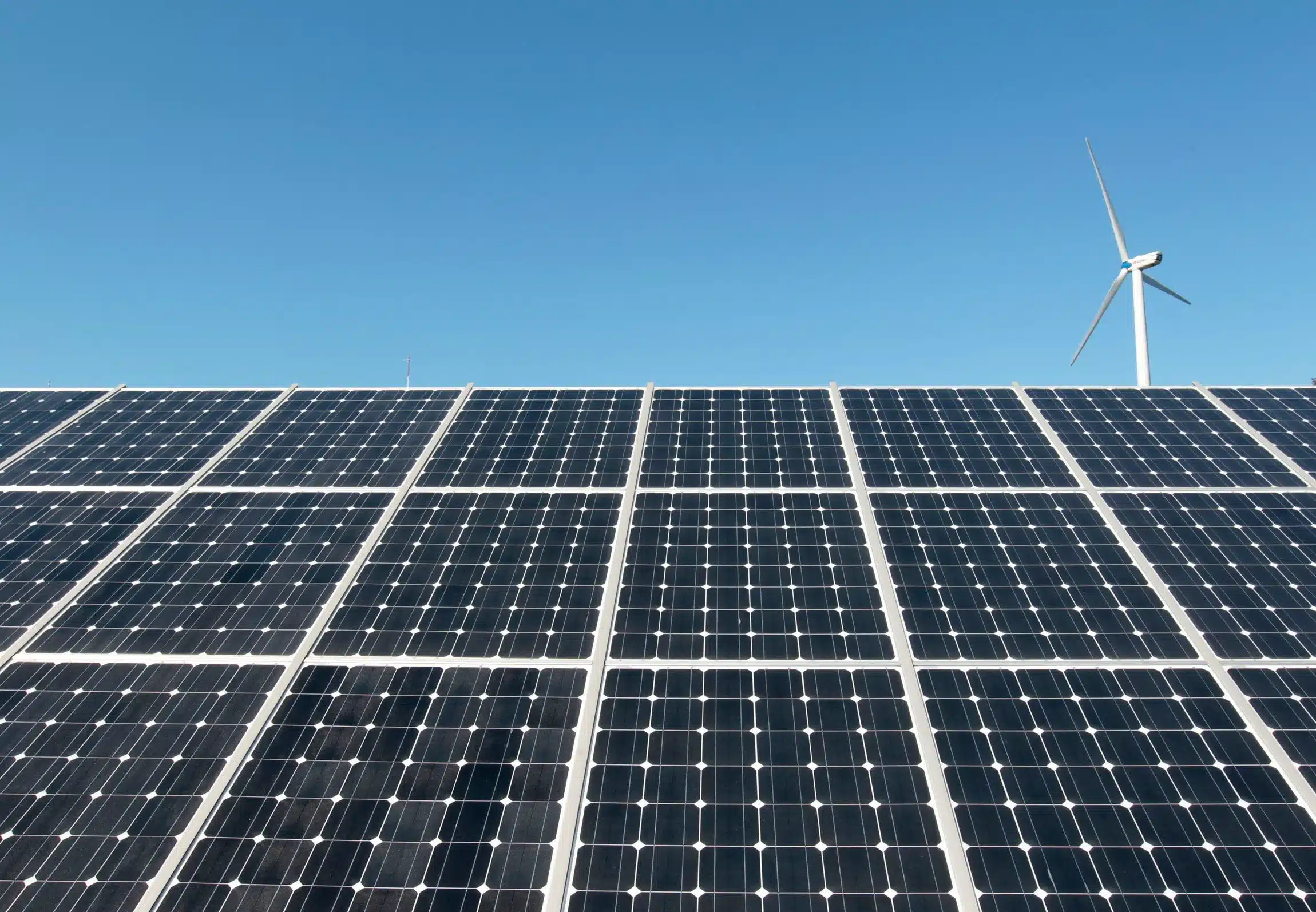 Row of solar panels under a clear blue sky with a distant wind turbine on the horizon