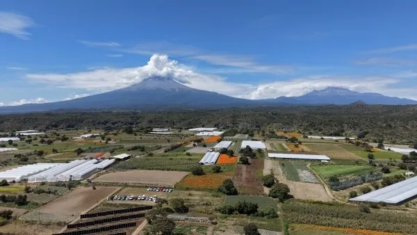 Proyectos de energía renovable en el campo mexicano