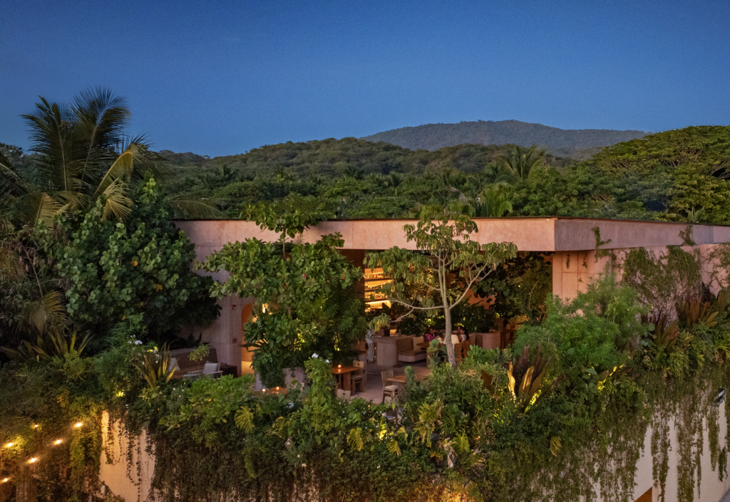 5 EXCUSAS GOURMET 2026-10-15 a las 32337 pm - Petróleo y Energía Lush terrace garden with tropical plants climbing a pink wall and distant mountains under a blue evening sky.
