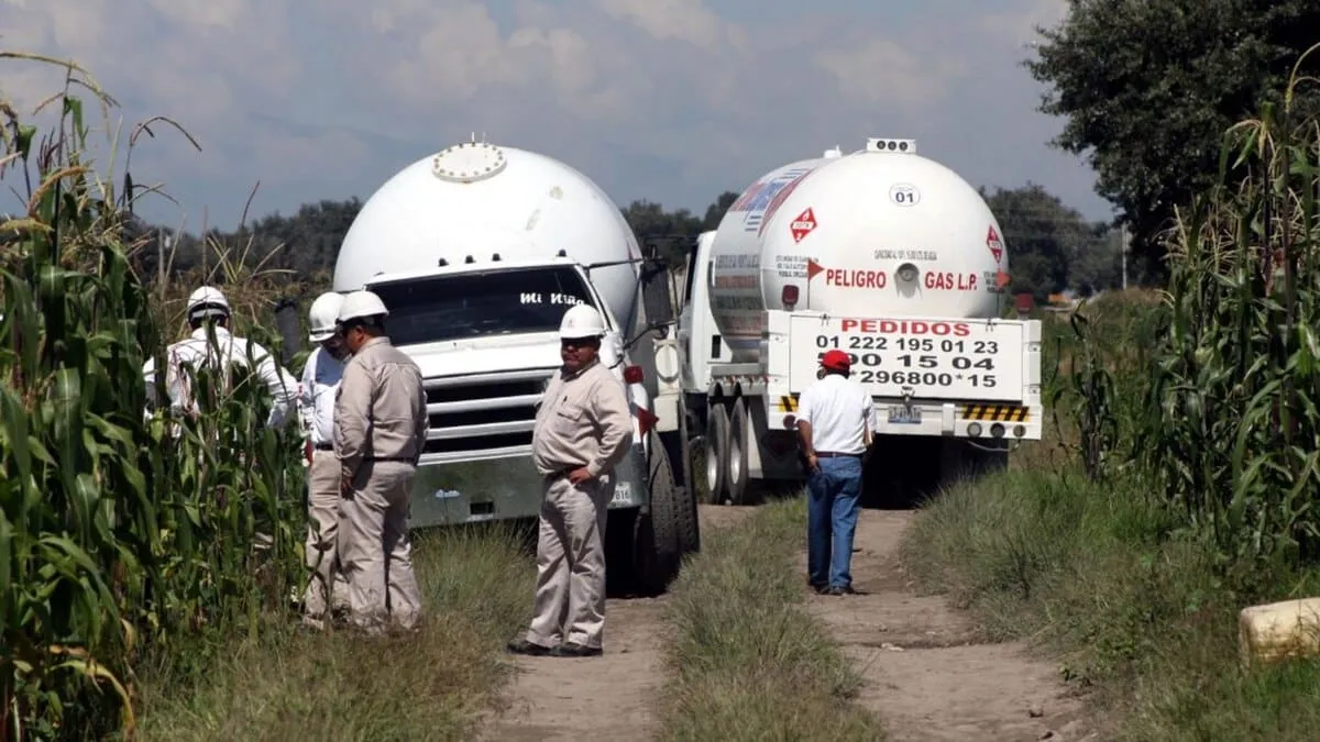 Two white fuel tanker trucks on a dirt rural road, with workers wearing hard hats inspecting the scene beside a cornfield millage of vegetation.